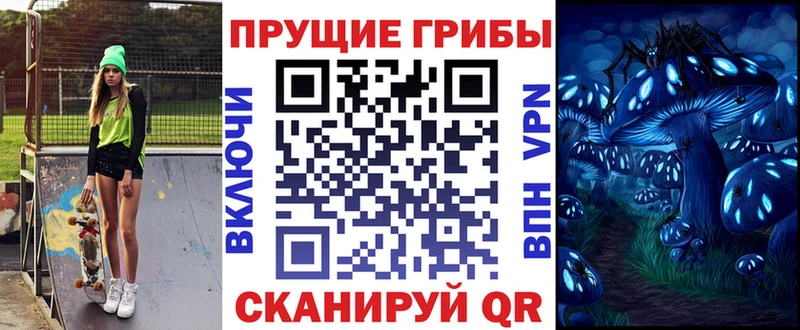 OMG маркетплейс  Саянск  Галлюциногенные грибы Psilocybe 
