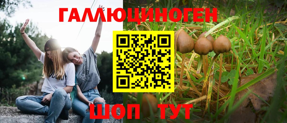 Саянск  Галлюциногенные грибы MAGIC MUSHROOMS  Вход с VPN 