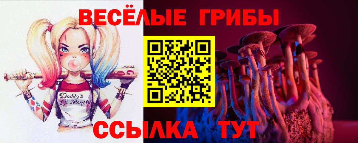 Псилоцибиновые грибы Cubensis Саянск